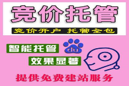 精准定位，高效转化：sem推广竞价案例解读